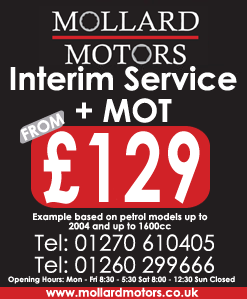 INTERIM SERVICE & MOT FROM £99